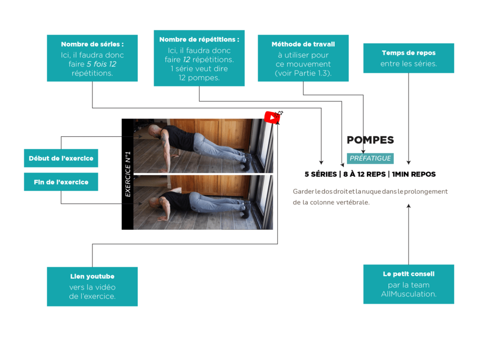 Notice explicative eBook programme musculation avec haltères