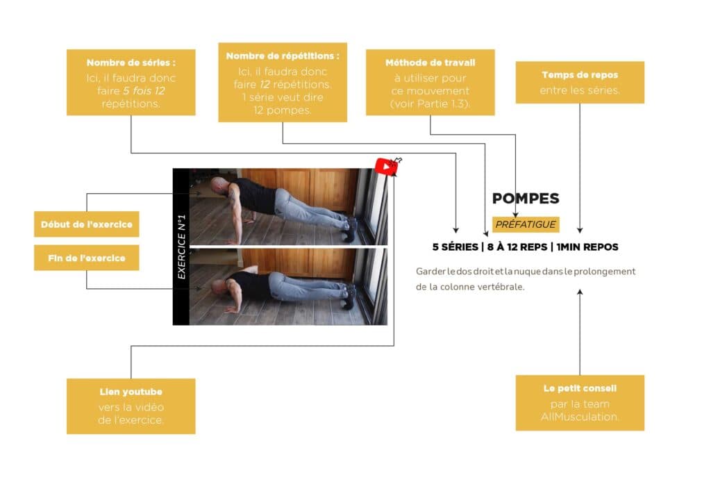 Notice explicative eBook programme musculation aux élastiques