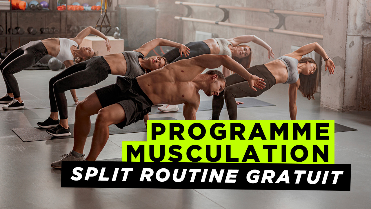 Programme musculation 4 jours par semaine en split FitZone