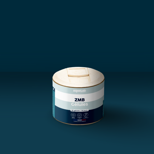 AQ-zmb