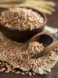 Glucides céréales complètes